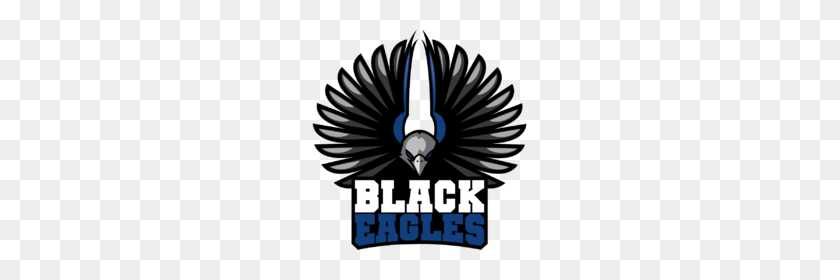 220x220 Black Eagles - Eagles Logo PNG