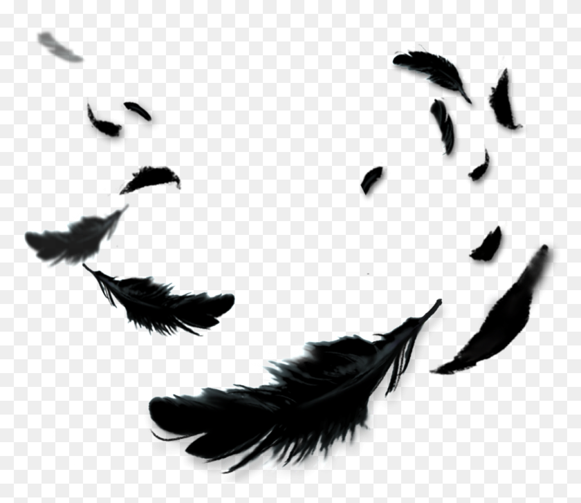 1024x878 Black Feather Cartoon Transparent Free Png Download Png Vector - Black Feather PNG