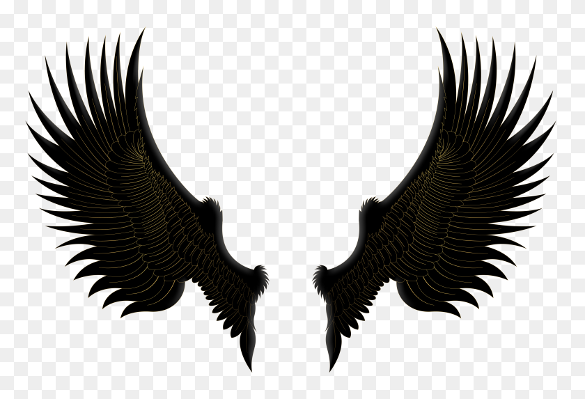 8000x5267 Black Gold Wings Png Clip Art - Wings Clipart