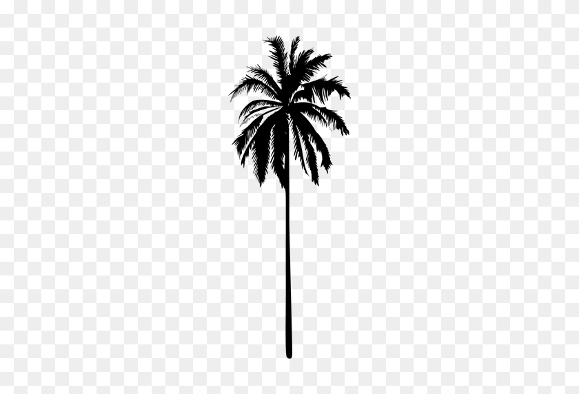 512x512 Black Isolated Palm Tree Silhouette - Coconut Tree PNG