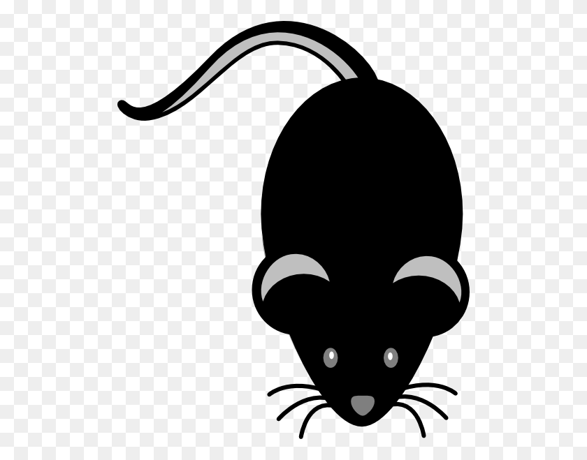 504x599 Black Mouse Light Grey Eyes Png, Clip Art For Web - Eyes Clipart Black And White