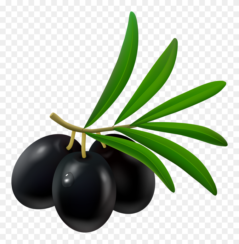 2940x3000 Black Olive Png Clipart - Olive PNG