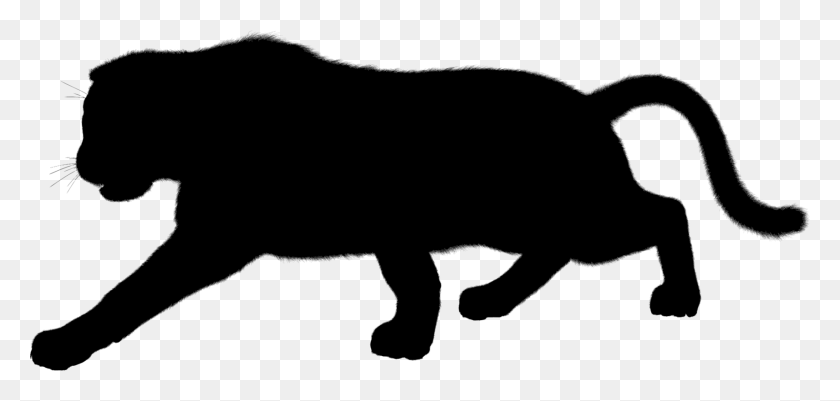 1713x750 Black Panther Leopard Cougar Silhouette Jaguar - Panther Clipart Black And White
