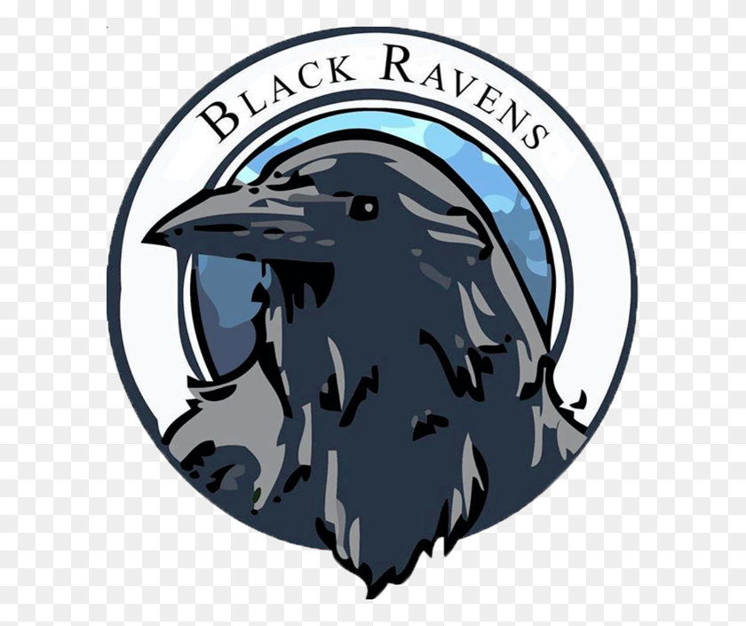 600x645 Black Ravens - Ravens PNG