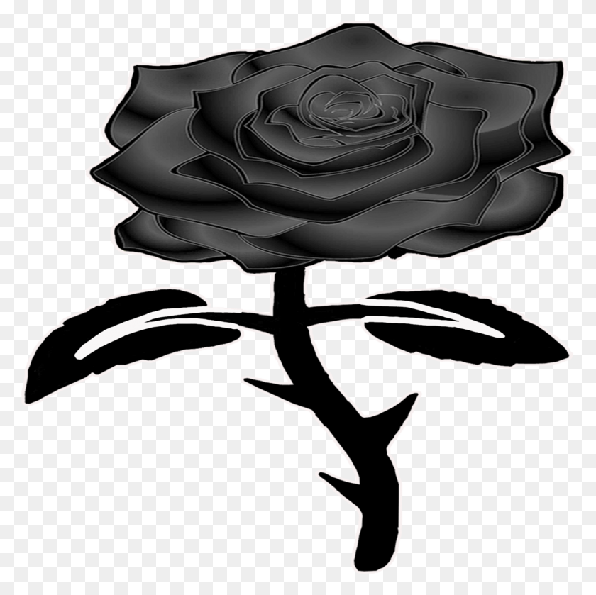 1200x1199 Черная Роза Черная Роза - Черная Роза Png