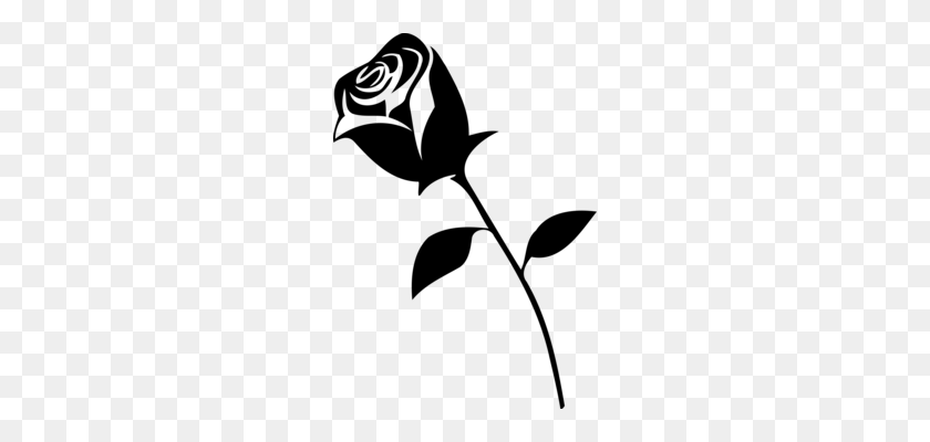 238x340 Черная Роза Садовые Розы Китайская Роза Цветок Флорибунда Бесплатно - Роза Клипарт Черно-Белая
