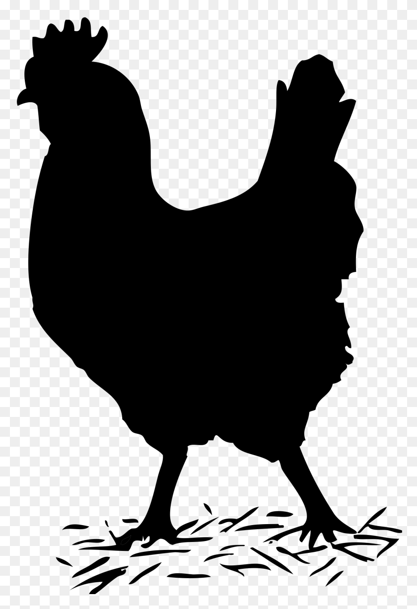 1603x2400 Iconos De Pollo Negro Sólido Png - Pollo Png