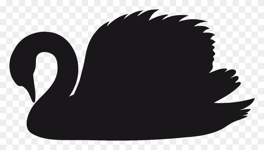 1574x843 Черный Лебедь Клипарт Картинки - Черная Птица Клипарт