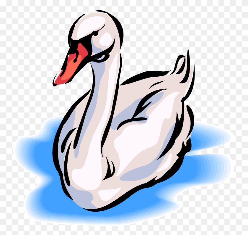 750x734 Black Swan Clipart Swans Swimming - Possum Clipart