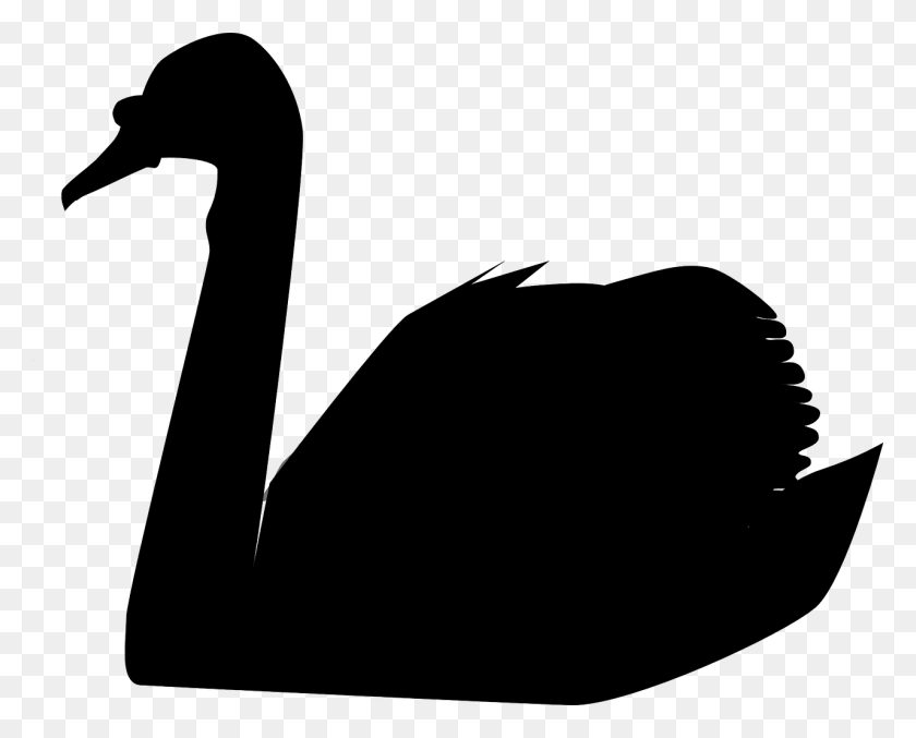 1280x1013 Черный Лебедь В Дата-Центре Или Как Подготовиться К Катастрофе - Террористический Клипарт