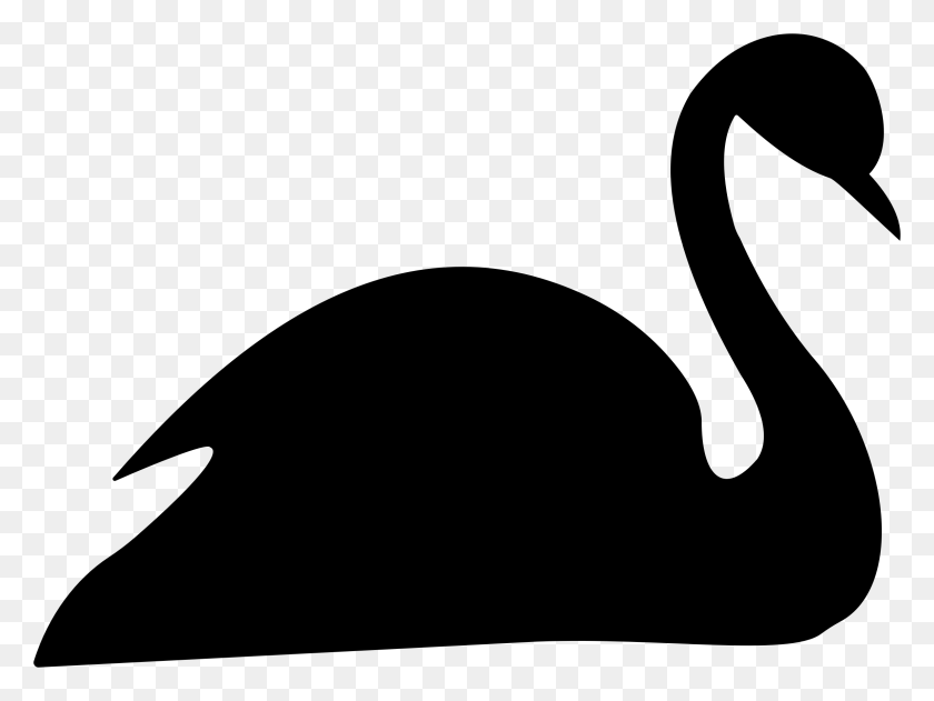 2300x1684 Black Swan Silhouette Icons Png - Swan PNG