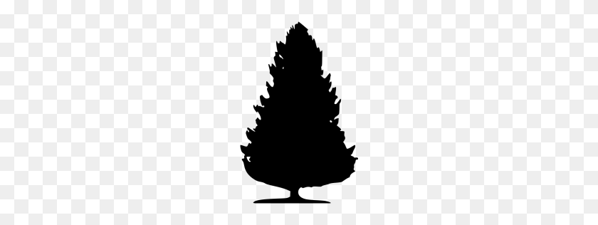 256x256 Black Tree Icon - Black Tree PNG