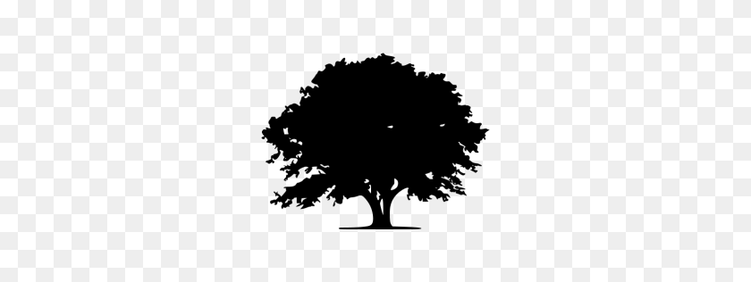 256x256 Значок Черное Дерево - Черное Дерево Png