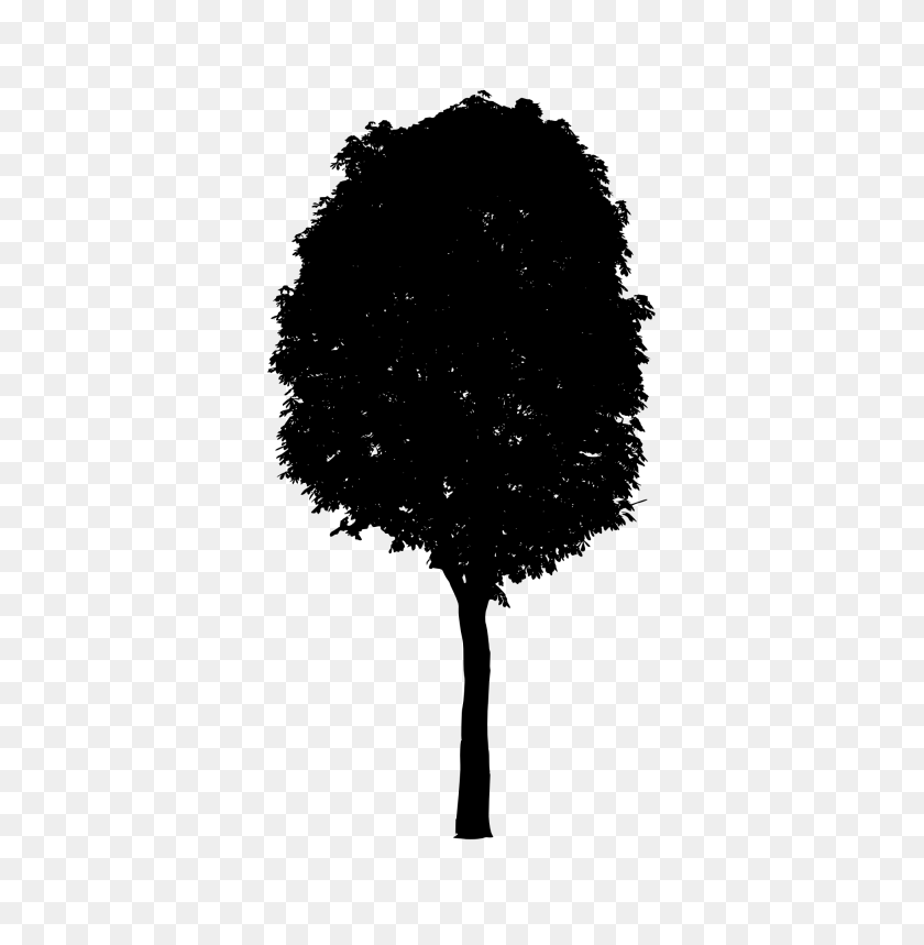 480x799 Черное Дерево Png - Лесной Силуэт Png