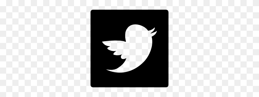 256x256 Logo De Twitter Negro Png Imagen Png - Logo De Twitter Negro Png