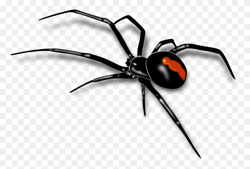 2400x1569 Black Widow Clipart - Free Spider Web Clipart
