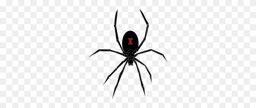 258x297 Black Widow Spider Clip Art - Spinne Clipart