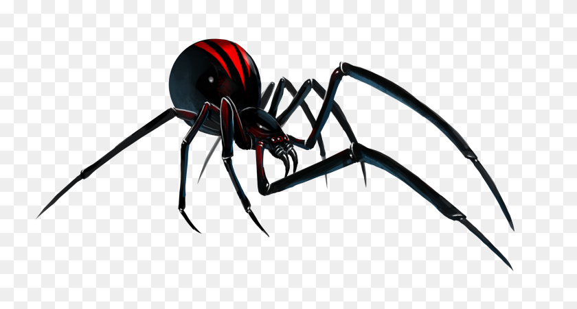 2509x1258 Black Widow Spider Png - Black Widow Spider PNG