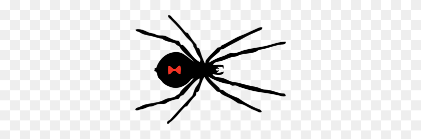 300x217 Black Widow Spider Png Clip Arts For Web - Black Widow PNG
