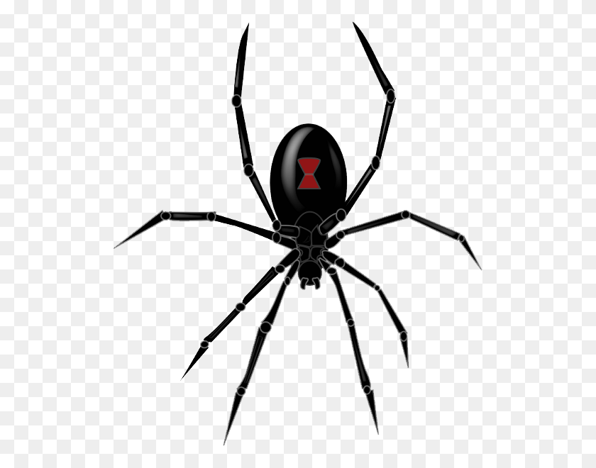 521x600 Black Widow Spider Png Clipart - Black Widow Logo PNG