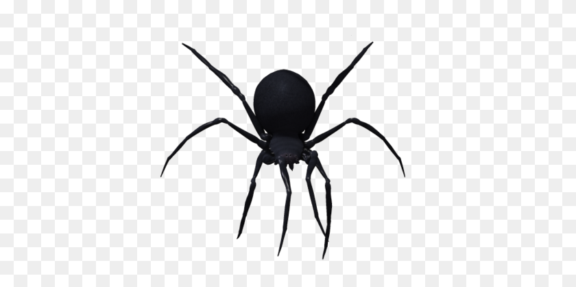 417x358 Black Widow Spider Png Image - Black Widow PNG
