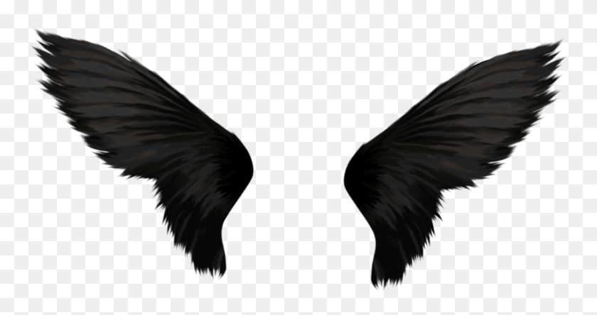 850x419 Black Wings Png - Wings PNG