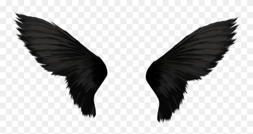 850x419 Black Wings Png - Bird Wings PNG