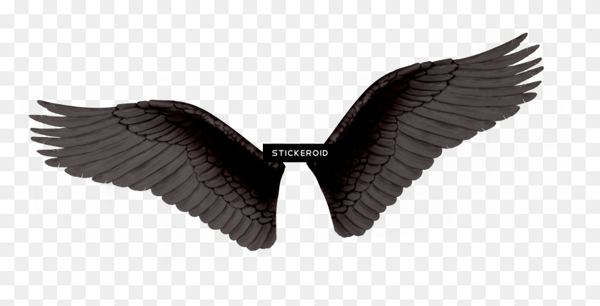 2700x1280 Black Wings Png - Black Wings PNG