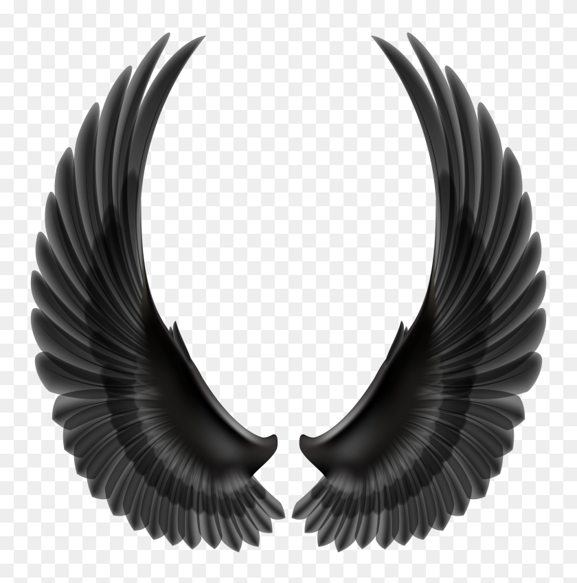 5192x5247 Black Wings Png Clip Art - Metal PNG