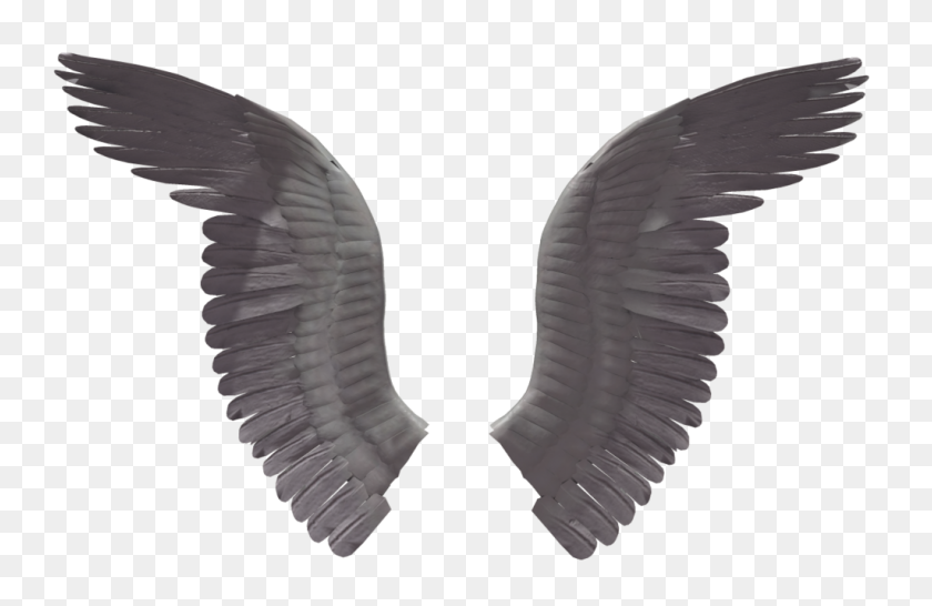 1024x639 Black Wings Png Image - Vulture PNG