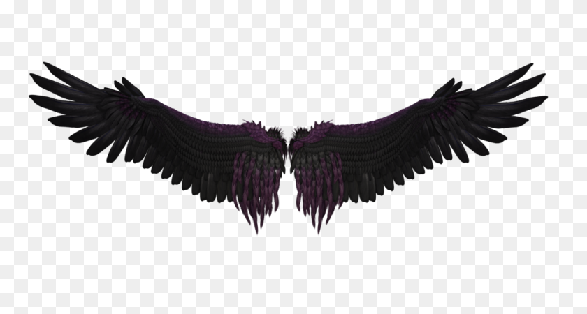 1024x512 Black Wings Png Image - Black Feather PNG