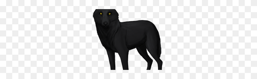 300x200 Black Wolf Png Png Image - Black Wolf PNG