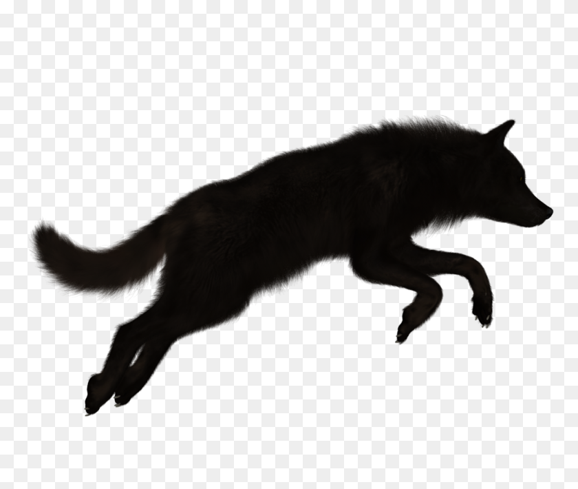 979x816 Black Wolf Png Transparent Black Wolf Images - Wolf PNG