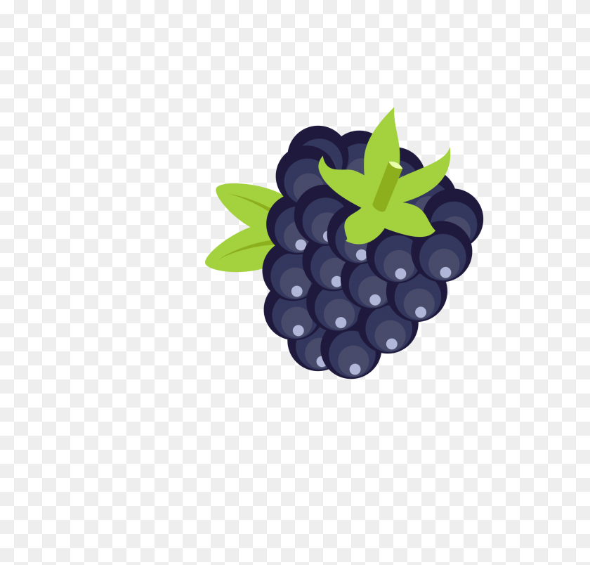 2400x2292 Blackberry Clipart Clipart - Grapevine Wreath Clipart