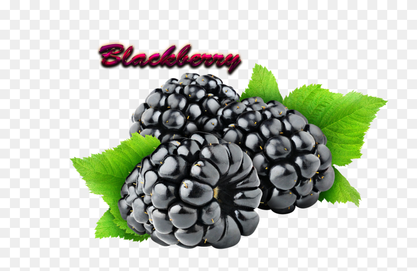 1920x1200 Blackberry Download Png - Blackberry PNG