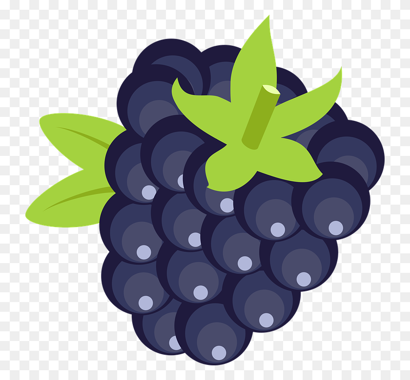 736x720 Blackberry Fruit Png Transparent Free Images Png Only - Blackberry PNG