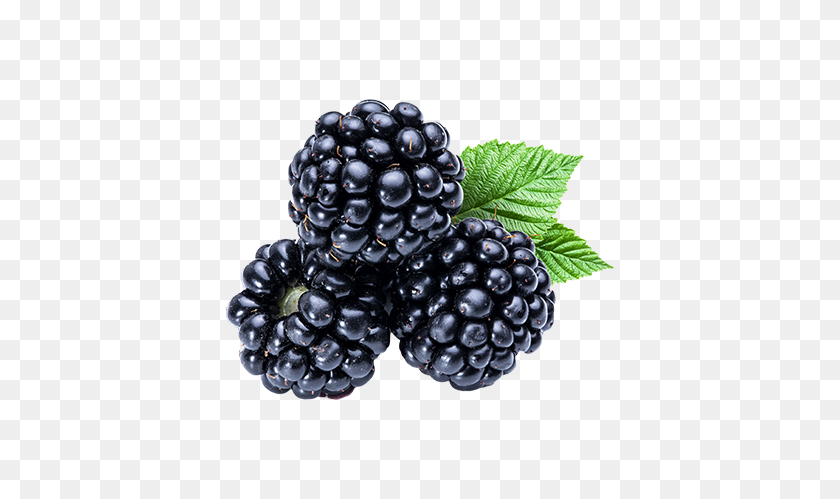 389x439 Blackberry Png Images Free Download - Blackberry PNG