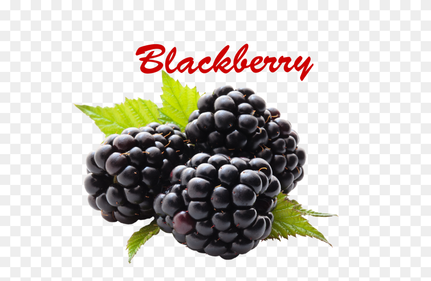 1920x1200 Blackberry Png Transparente - Blackberry Png