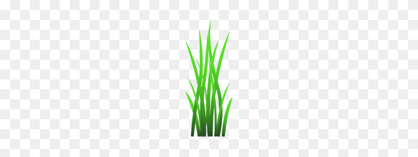 256x256 Blade Transparent Png Or To Download - Lemongrass PNG