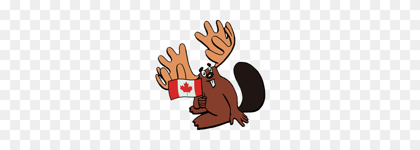 240x240 Blair The Canadian Beavermoose Line Stickers Line Store - Beaver PNG