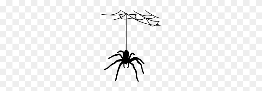 190x232 Bland Cobweb Spider Cobwebs Large - Cobwebs PNG
