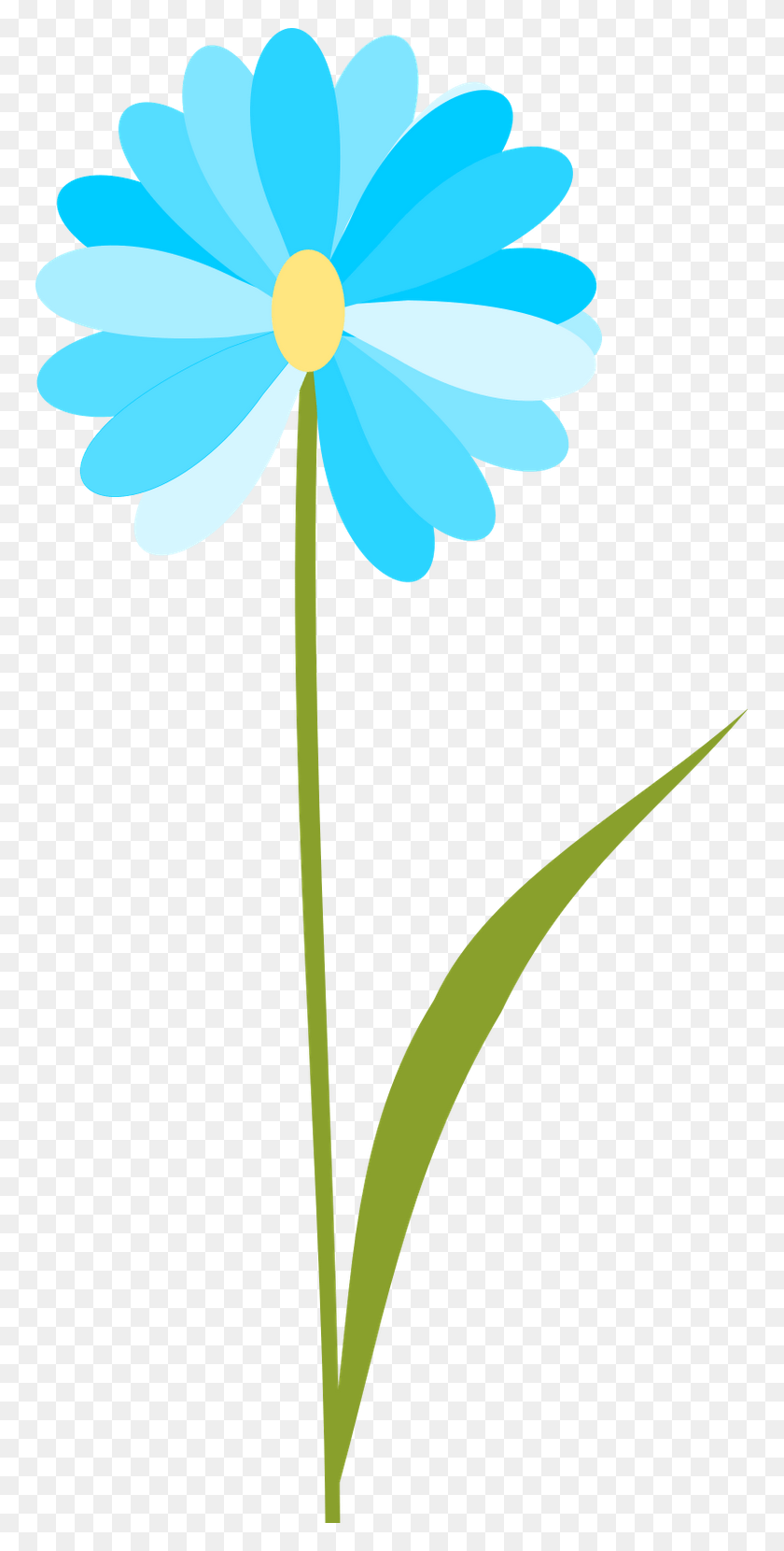 763x1600 Blank Flower Cliparts - Flower Background PNG
