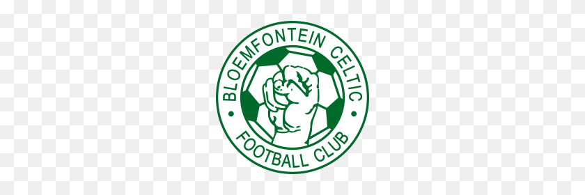 220x220 Bloemfontein Celtic F C - Celtics Logo PNG