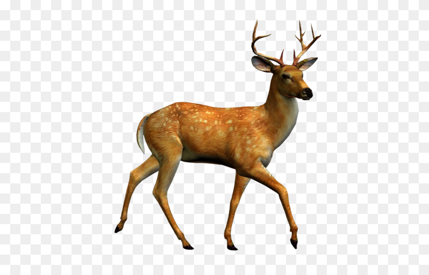 432x480 Blondie's Woodland Creatures - Woodland Deer Clipart