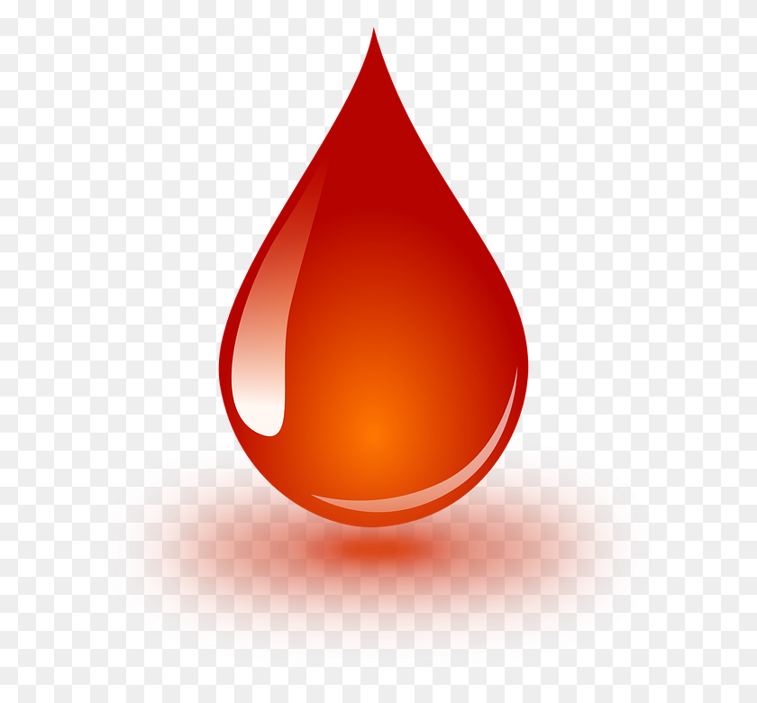 653x720 Blood Donation Png Hd Transparent Blood Donation Hd Images - Blood Effect PNG