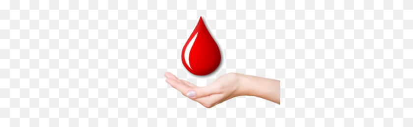 300x199 Blood Donation Png Hd Transparent Blood Donation Hd Images - Blood Hand PNG