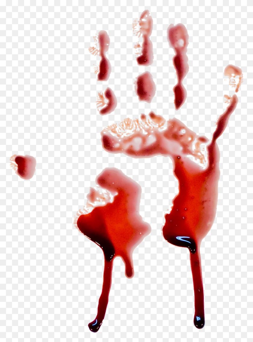 1969x2709 Blood Png Images Free Download, Blood Png Splashes - Horror PNG