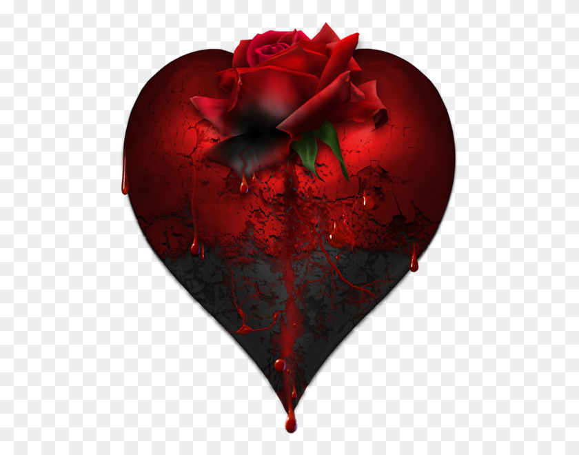 491x600 Bloody Heart Wrose - Bloody Heart PNG