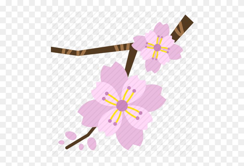 512x512 Bloom, Blossom, Cherry Blossom, Flower, Perennial, Pink, Sakura Icon - Sakura Flower PNG