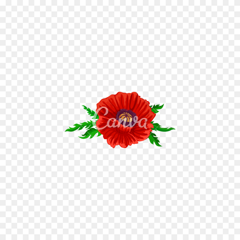 800x800 Цветущая Красная Роза Вектор Значок Иллюстрации Дизайн - Роза Вектор Png